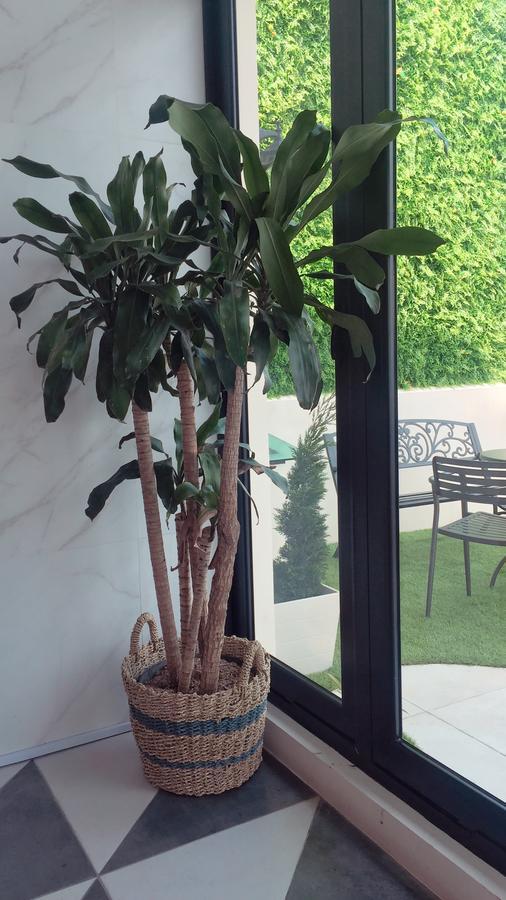 Eightin Hotel Sudirman Τζακάρτα Εξωτερικό φωτογραφία